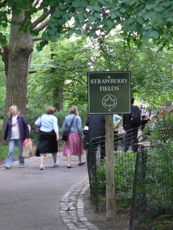 Strawberry Fields: Strawberry Fields